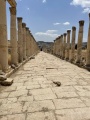 Jerash