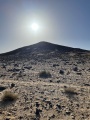 Jebel Qurma Petroglyphs - PID:269298