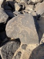Jebel Qurma Petroglyphs - PID:269299