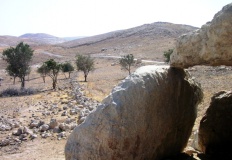 South of Khajar Mansub Menhirs & Dolmens