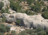 Stone of a Crocodile - PID:115242