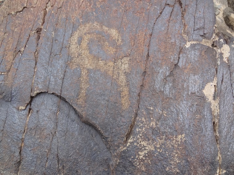 Petroglyphs of Kara-Karga in Uzbekistan (photo taken on April 2012).
