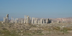 Apamea