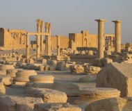 Palmyra - PID:304649 Palmyra - PID:304649