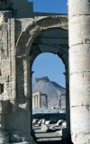Palmyra
