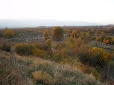 Aphrodisias - PID:197531