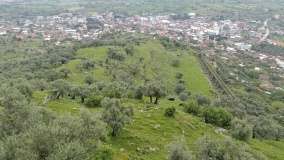 Alinda