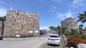 Aegeae - PID:307775 Aegeae - PID:307775