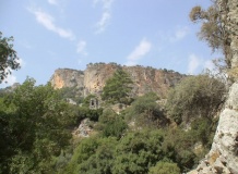 Pinara