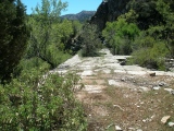 Balboura - PID:148403