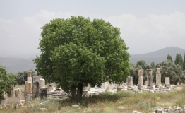Lagina Temple of Hecate