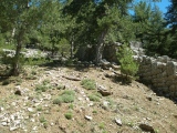 Balboura - PID:148400