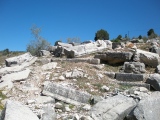 Balboura - PID:148399
