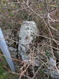 MYSTERY PHOTO  - Can you identify?