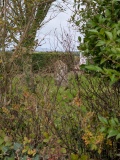 MYSTERY PHOTO  - Can you identify?
