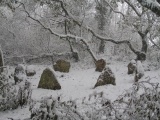 Sabs Stone Circle - PID:19061