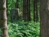 Druid's Temple at Ilton - PID:4142
