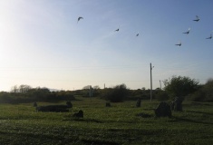 Ysgol Y Fali Stone Circle