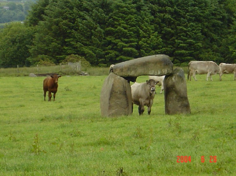 Garnedd-hir Modern Dolmen