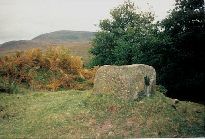 Click for the gallery page to add comments and vote (PID:15657) Glen Roy Chalice Stone
