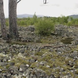 Grenish