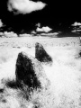 Achavanich - PID:244934