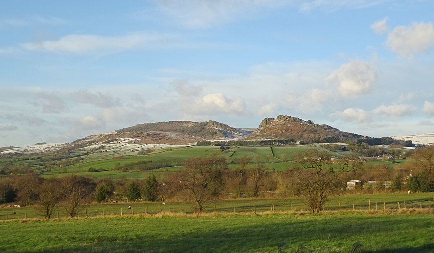 Click for the gallery page to add comments and vote (PID:145341) The Roaches