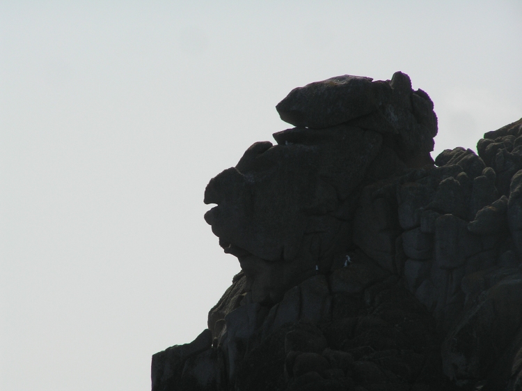 Curiosities of St Agnes - Chief Beaky (PID:210806) Curiosities of St Agnes - Chief Beaky