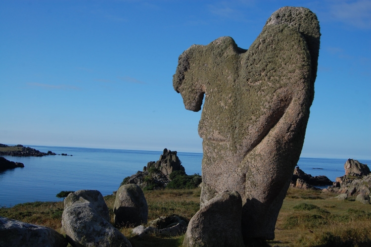 Click for full size image of Curiosities of St Agnes - Sea horse (PID:210811) Curiosities of St Agnes - Sea horse