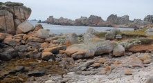 Click for full size image of Curiosities of St Agnes - Beached whale (PID:210802) Curiosities of St Agnes - Beached whale