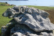 Click for full size image of Curiosities of St Agnes - Curly (PID:210807) Curiosities of St Agnes - Curly