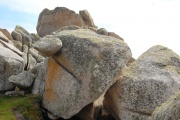 Click for full size image of Curiosities of St Agnes - Horse's head (PID:210809) Curiosities of St Agnes - Horse's head