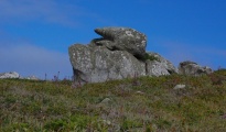 Click for full size image of Curiosities of St Agnes - Toad (PID:210813) Curiosities of St Agnes - Toad