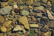 Lynmouth - PID:14897