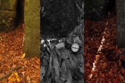The Devil Stones (Maribor) - PID:123171