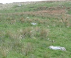 Tinnis Well - PID:13962