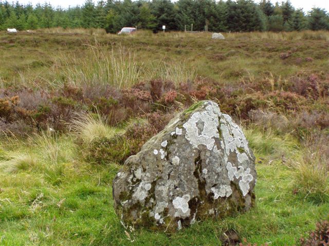 Lower Camster Stones
