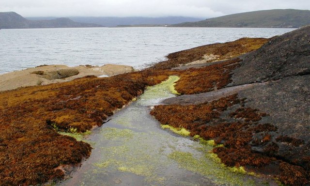 Click for the gallery page to add comments and vote (PID:64844) Dun Canna