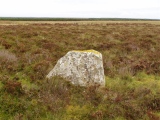 Lower Camster Stones