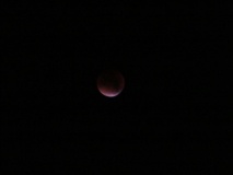 Lunar Eclipse Totality