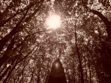 Menhir dit la Dent de Saint-Servais - PID:79718