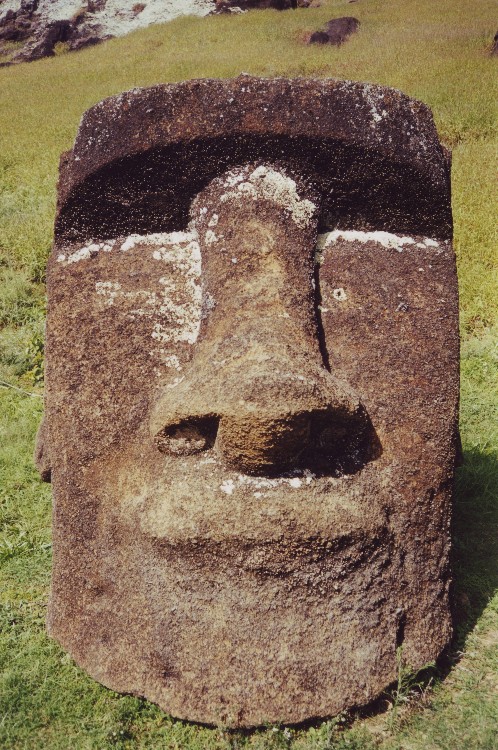 A Moai buried up to its neck at Rano Raraku on the eastern end of Easter Island