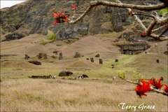 Rano raraku