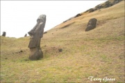Rano raraku - PID:26230