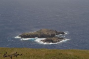 easter island - PID:26183