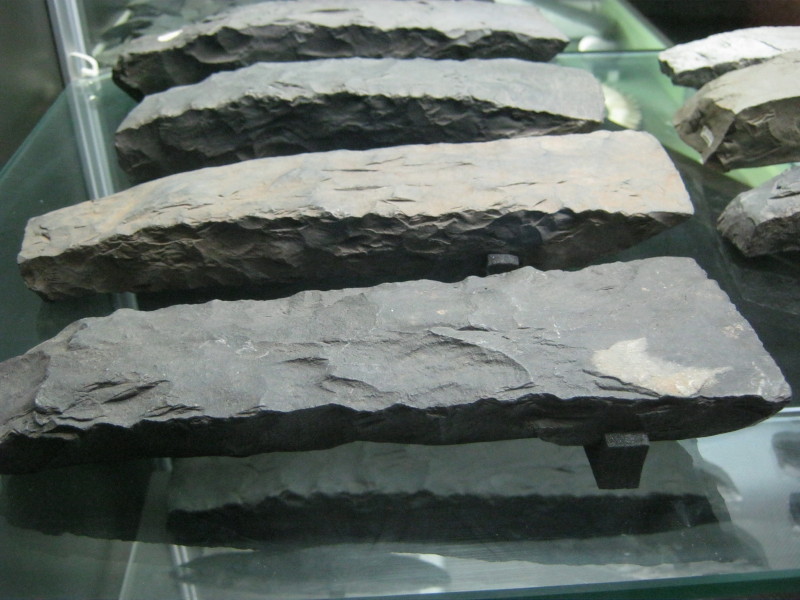 Canterbury Museum (PID:120451) Canterbury Museum