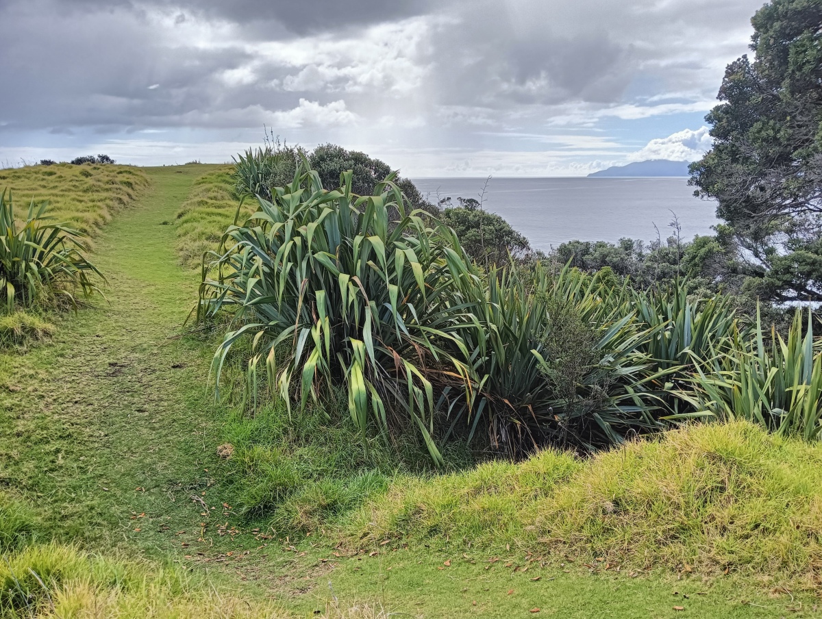 Papahi Headland Pa