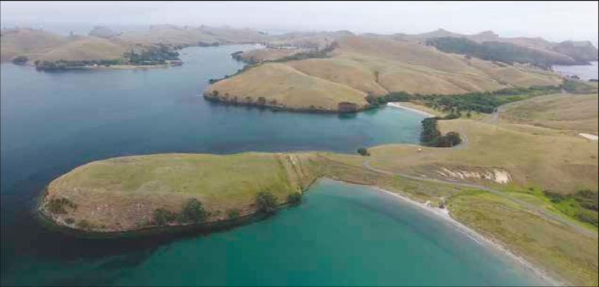 Ahuahu (Great Mercury Island)