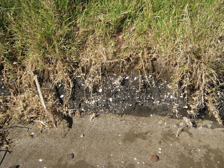 Click for the gallery page to add comments and vote (PID:90184) Okura 784 Settlement & Midden