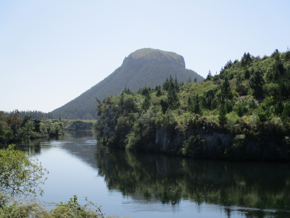 The cone and pa site viewed from the Waikato River Cycle Trail.  February 2020